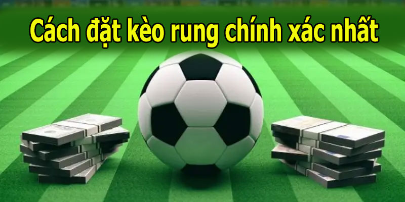 Cách đặt kèo rung chính xác nhất tại Alo789